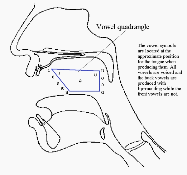 Vowel quadrangle